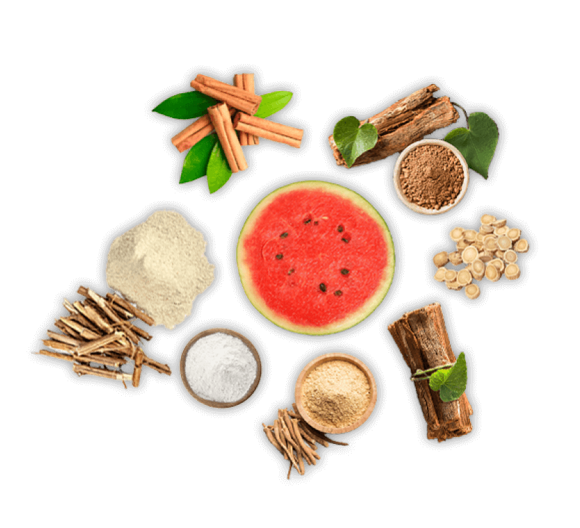 fruits ingredients